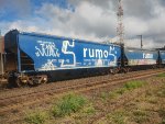 RUMO HTT-351767-5